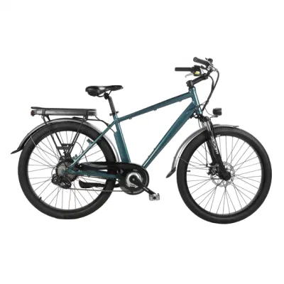 250W Electric Mountain E-Bike MTB Scooter batería de litio