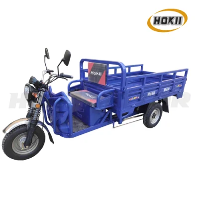 Hokii Motor Fabricante 1800W Tricycles eléctricos de motor de tres ruedas Adulto Triciclo eléctrico para transporte de carga pesada en triciclo