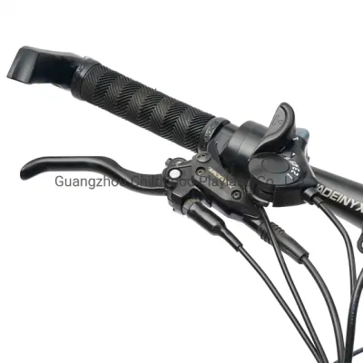 El modelo más nuevo Precio barato 36V 350W 26pulgadas 21 par motor trasero de la velocidad de la montaña Bicicleta eléctrica