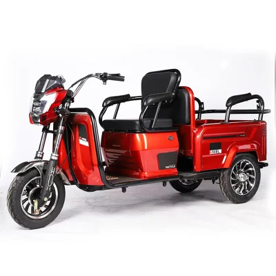 Motor eléctrico de 3 ruedas bicicleta Bicicleta electrónica adultos motocicleta triciclo eléctrico de tres ruedas Scooter eléctrico con asiento