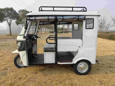 3kW-5kw Motor/taxi eléctrico/Autos de pasajeros de tres ruedas/Tricycle eléctrico/Tuk-Tuk/