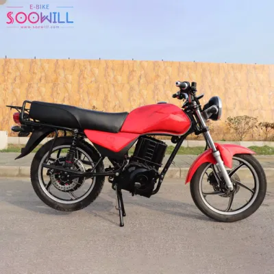 2000W Scooter eléctrico E-Bike convencional con batería de litio Ternary Gecko Tonto