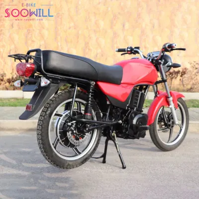 2000W Scooter eléctrico E-Bike convencional con batería de litio Ternary Gecko Tonto