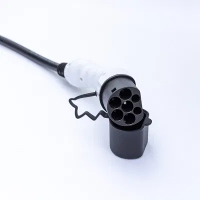 Nuevo estándar americano 16un arma de doble cabeza SAE J1772 EV Pistola de carga de la mayoría de nuevos modelos de energía están en uso común.
