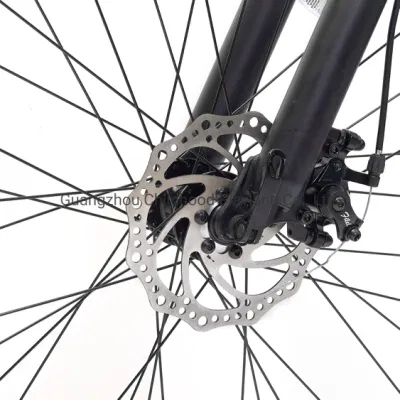 El modelo más nuevo Precio barato 36V 350W 26pulgadas 21 par motor trasero de la velocidad de la montaña Bicicleta eléctrica