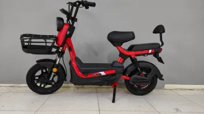 48V20ah 450W China OEM/ODM bicicleta eléctrica con batería de plomo ácido