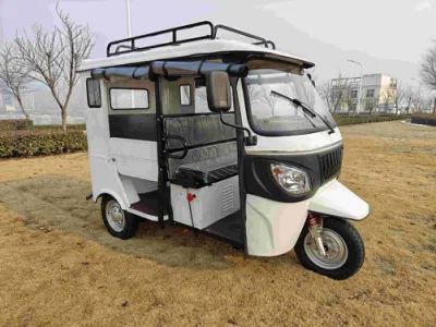 3kW-5kw Motor/taxi eléctrico/Autos de pasajeros de tres ruedas/Tricycle eléctrico/Tuk-Tuk/