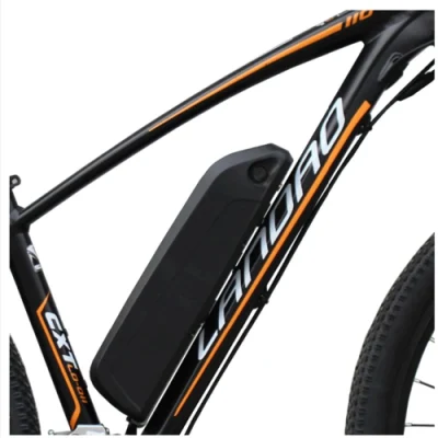 De Alta Velocidad rápida e Bike bicicleta eléctrica de Monte 5000 W tamaño 29 Comprar Electric Bicicleta de Montaña