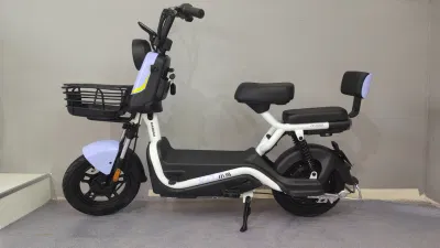 Bicicleta Eléctrica de Alta Potencia 60/72V