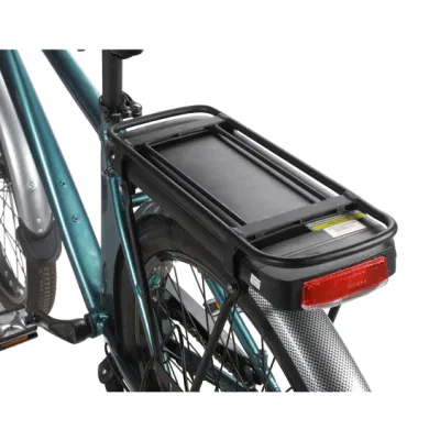 250W Electric Mountain E-Bike MTB Scooter batería de litio