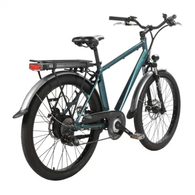 250W Electric Mountain E-Bike MTB Scooter batería de litio