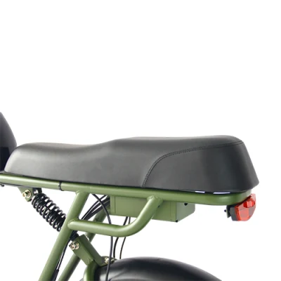 Scooter de neumático de grasa fuera de carretera potente bicicleta eléctrica 500W Motor eléctrico Bicicleta