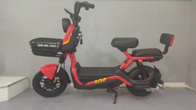 Bicicleta Eléctrica de Alta Potencia 60/72V