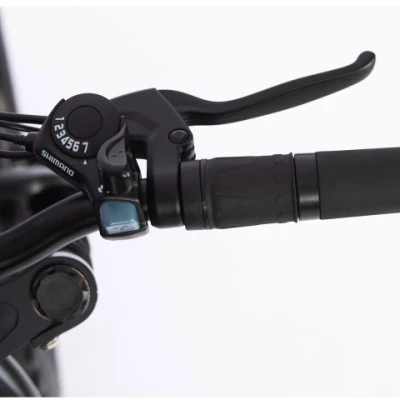Motor DE Bafang de accionamiento MEDIO de 7 velocidades MTB neumático de grasa fuera de carretera Moto de nieve con suspensión completa de montaña eléctrica E con litio Batería