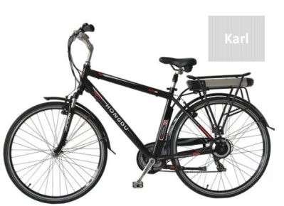 250W Electric Mountain E-Bike MTB Scooter batería de litio