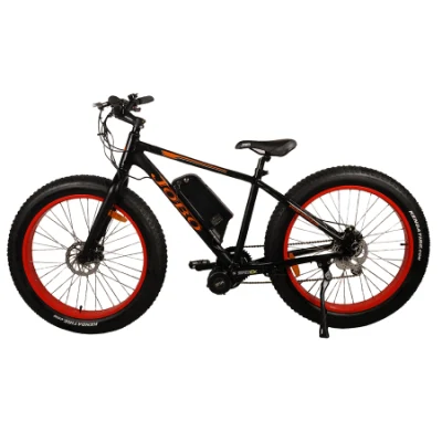 La grasa Grasa eléctrica bicicleta Bicicleta eléctrica