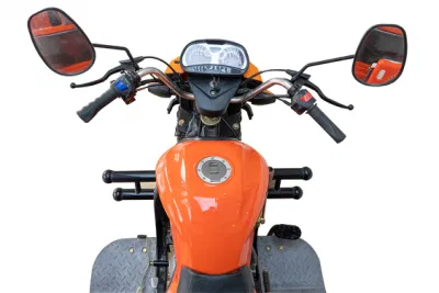 China tres ruedas moto de la cabina para la venta 200 - 250W High-Power motocicleta eléctrica de tres ruedas.