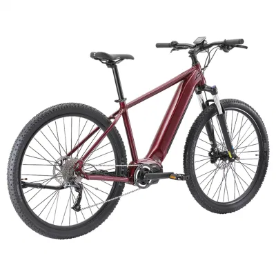 Plantas de ensamblaje en Estados Unidos Bicicleta eléctrica con neumáticos gruesos de 350W/500W/750W/1000W para recorridos urbanos/ciudad/traslados/mini/montaña/MTB/tierra/carga plegable/desplegable.