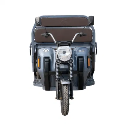 1000W de carga pesada triciclo eléctrico