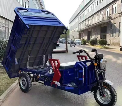 Lb 1500W Triciclo de carga con Trike de ruedas para eléctrico Motocicleta