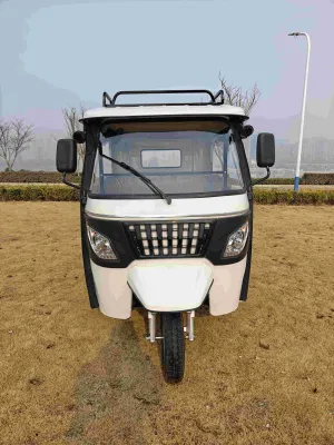 3kW-5kw Motor/taxi eléctrico/Autos de pasajeros de tres ruedas/Tricycle eléctrico/Tuk-Tuk/