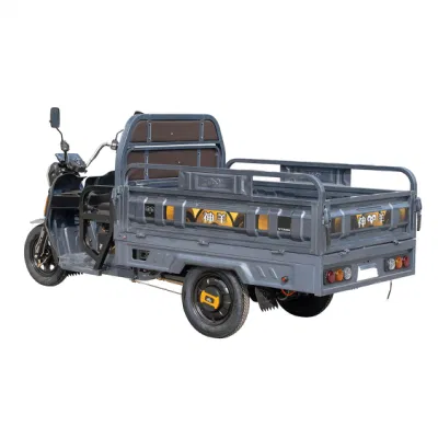1000W de carga pesada triciclo eléctrico