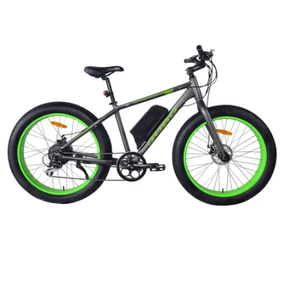 La grasa Grasa eléctrica bicicleta Bicicleta eléctrica