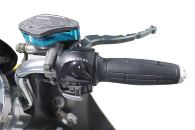 2021 Mejor Venta de nuevos Designelectric Scooter eléctrico de 2 ruedas de bicicleta para adultos