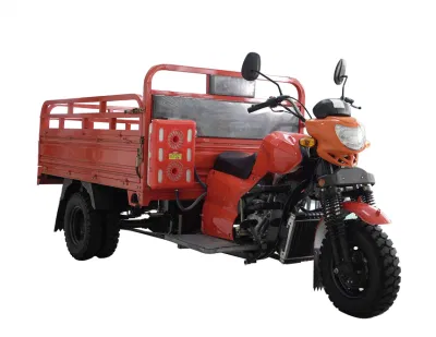 China tres ruedas moto de la cabina para la venta 200 - 250W High-Power motocicleta eléctrica de tres ruedas.