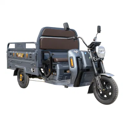 1000W de carga pesada triciclo eléctrico