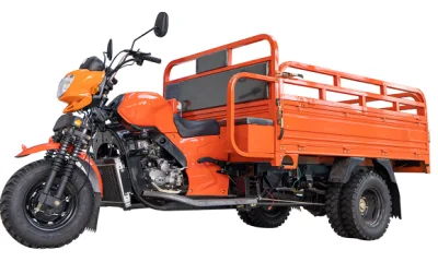 China tres ruedas moto de la cabina para la venta 200 - 250W High-Power motocicleta eléctrica de tres ruedas.