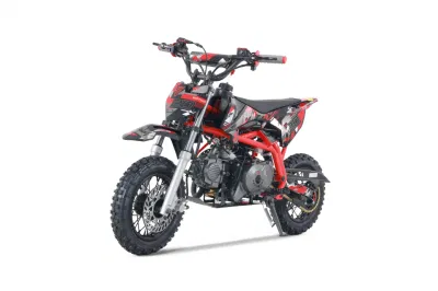Tao el Motor 110cc 125cc off road Moto Mini Dirt Bike
