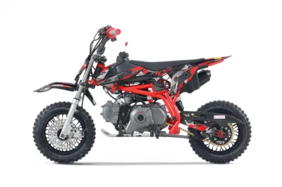 Tao el Motor 110cc 125cc off road Moto Mini Dirt Bike