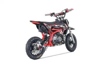 Tao el Motor 110cc 125cc off road Moto Mini Dirt Bike