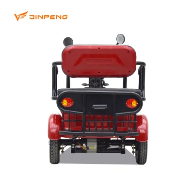 Jinpeng 2023 eléctrico Trike Fat Tyre Mobility Scooter 3 Wheel Triciclo eléctrico