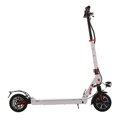 E-Scooter el bastidor de 8 pulgadas de aleación de aluminio bicicleta eléctrica de 250W Scooter eléctrico plegable y portátil