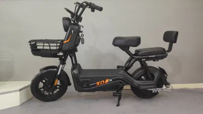 Bicicleta Eléctrica de Alta Potencia 60/72V