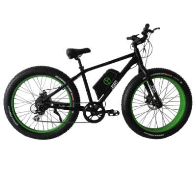 La grasa Grasa eléctrica bicicleta Bicicleta eléctrica