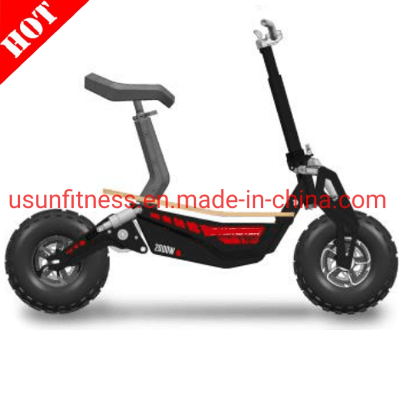 Promotion High Speed Folding Electirc Scooter Adult Electric Bike Electric Bicycle E-Scooter 1000 W 48 V 20 Ah with CE