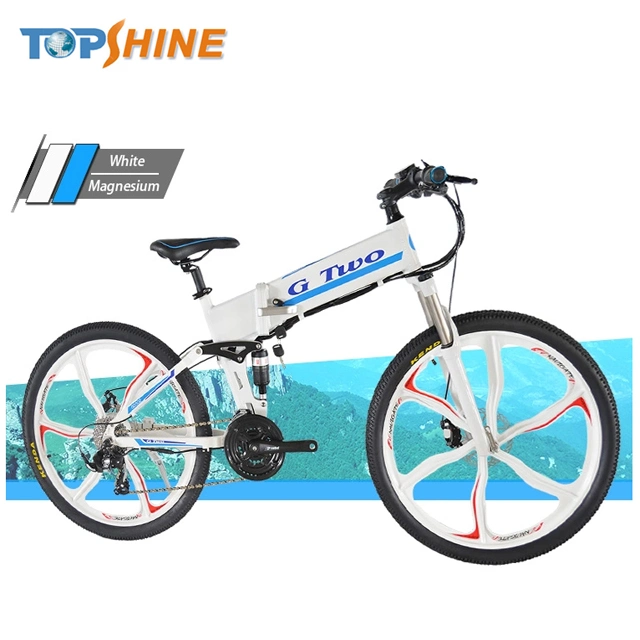 Removable 48V Battery Mountain Foldable Electrical Bike with Compass Temperature Detection