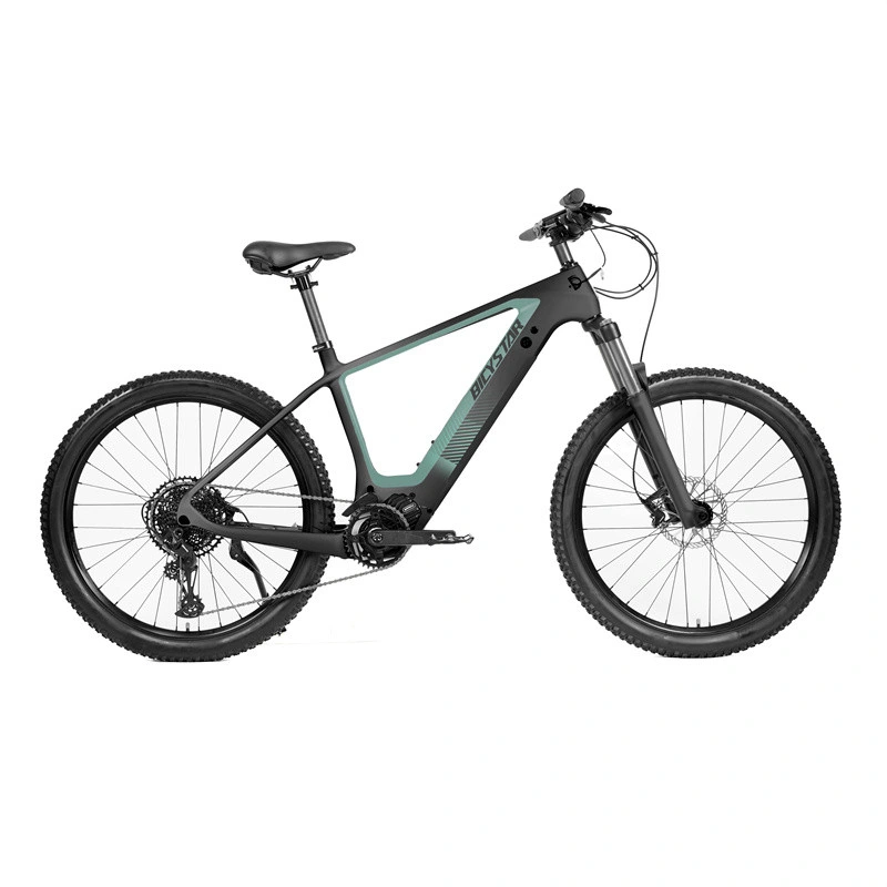 Electric Cycle/Electric Cycle for Adults/Electric Downhill Mountain Bike