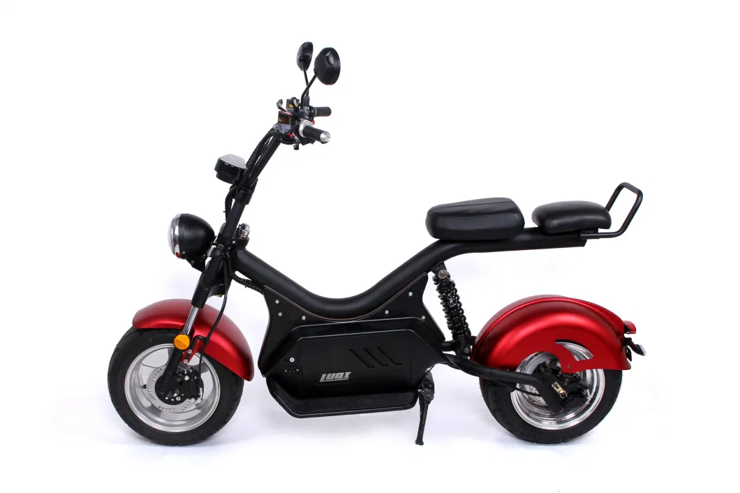 2023 Portable Electric Kick Motorbike with 2000W Brushless Motor