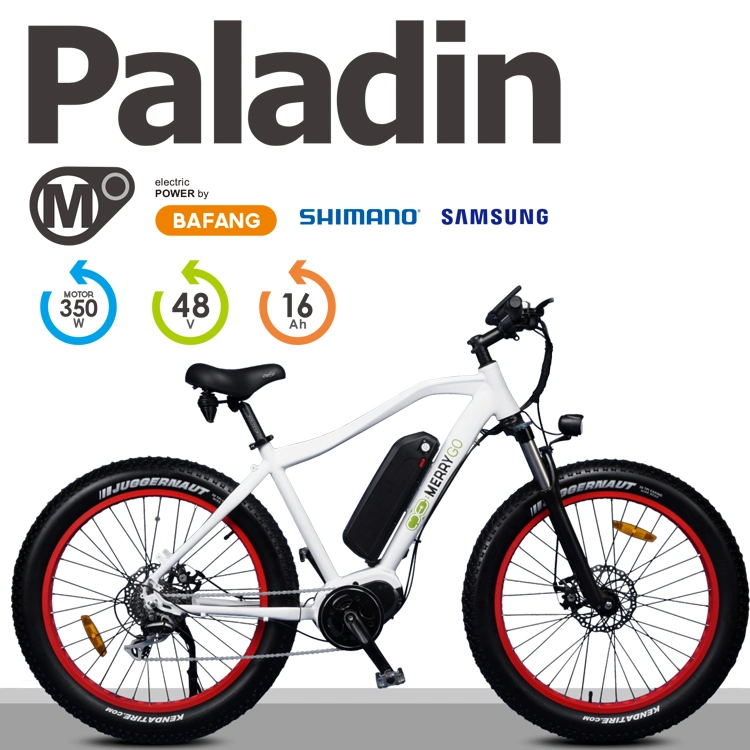 En15194 Approved Middle Drive Motor Electric Bicycle Electric Bicycle