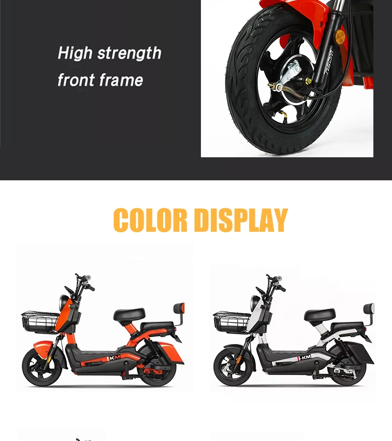 Cheap Chinese Factory Price 48V20A Electric Bicycle 350W/500W Electric Bicycle E-Bike