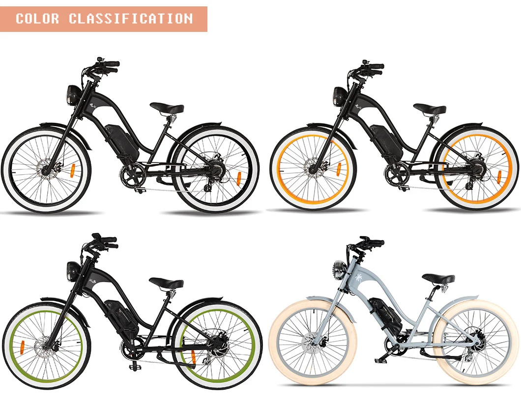 Chinese Production Electric Bike with Hydraulic Disc Brake 48V Ebike for Vacation