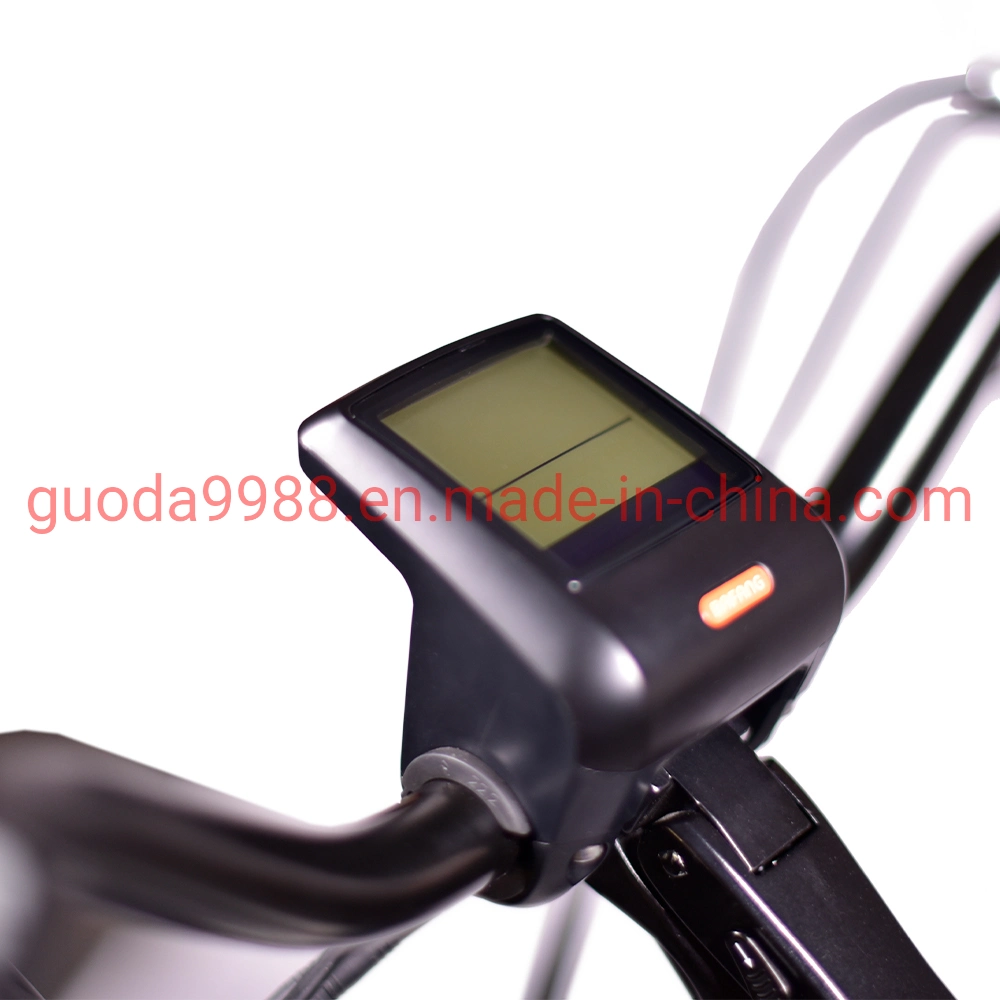 36V 2ah Disc Brake Bike Electric Bike Adult City Bicycle