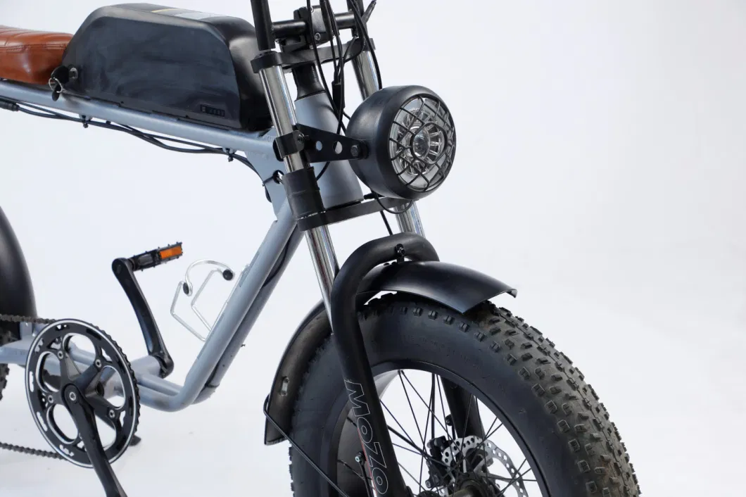 Dirt Ebike off Road Electric Bicycle Hot Sale