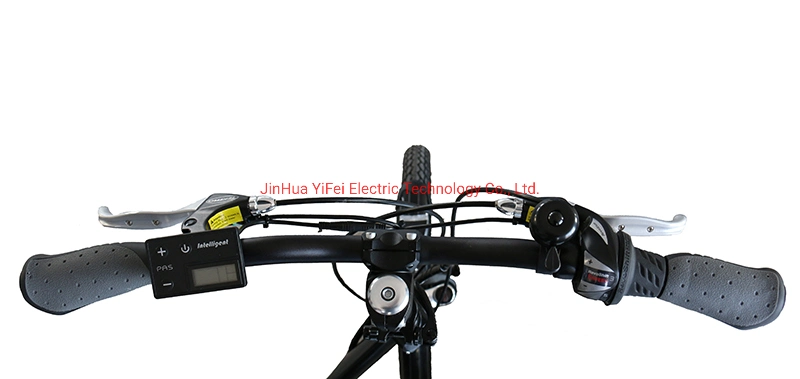 Factory Strong Lady Bike Folding Electric Bicycle with Pedal Assist Electric Bicycle