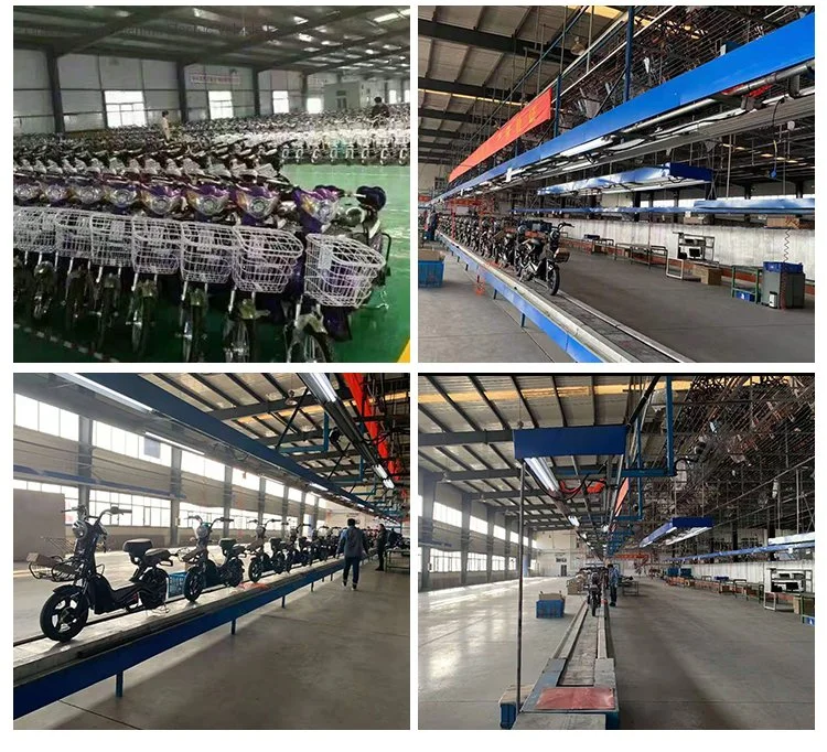 Adult Electric Bike for Sale China Factory