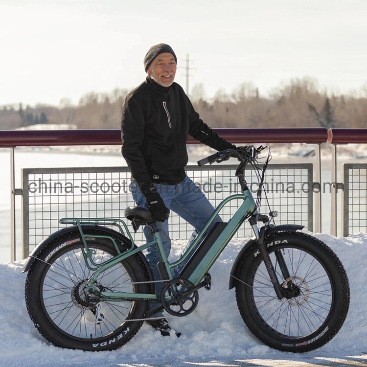 Popular Electric Bicycle with Lithium Battery, Fat Tire (ML-FB006)